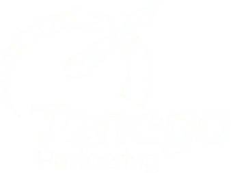 Tenego Partnering Logo