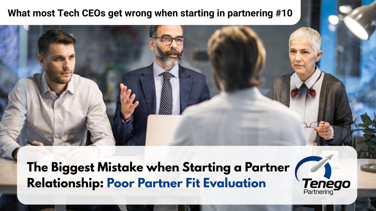 The Biggest Mistake when Starting a Partner Relationship: Poor Partner Fit Evaluation – Mistake #10